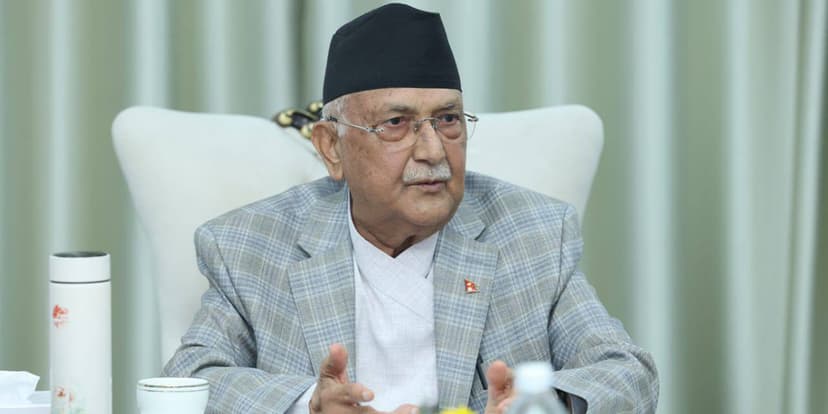 kp oli 