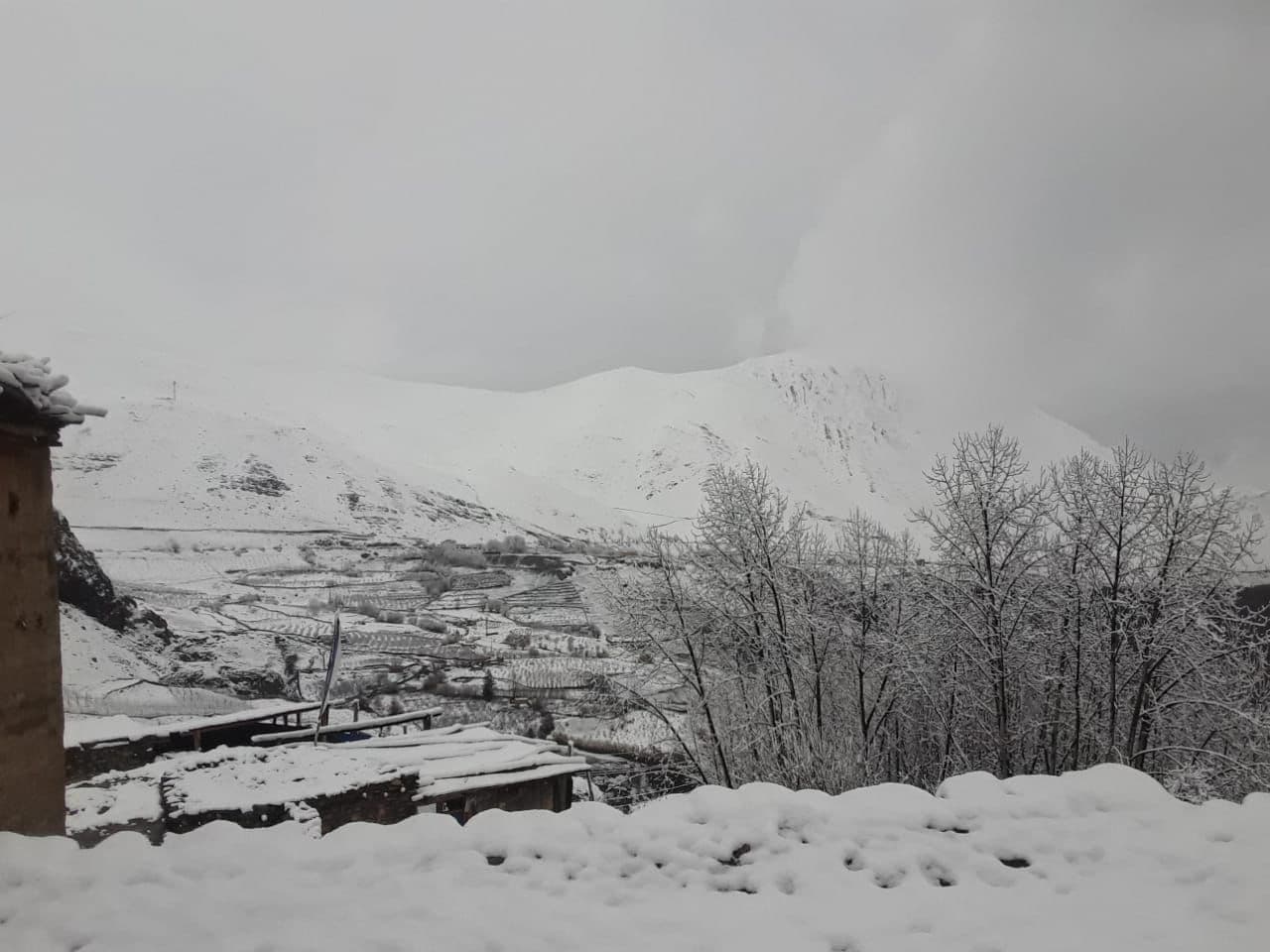 मुस्ताङका उच्च भेगमा भारी हिमपात