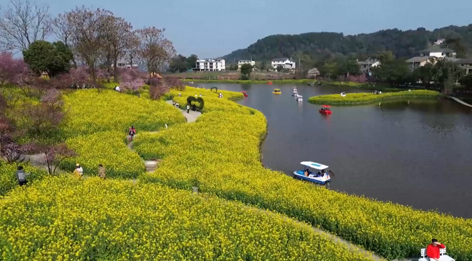 तोरी बारीको सौन्र्दयले बढायो चीनको पर्यटन