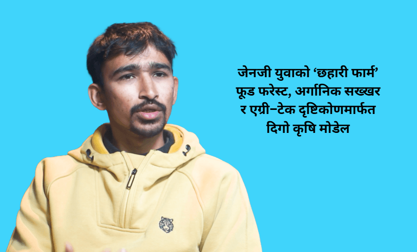 जेनजी युवाको ‘छहारी फार्म’: फूड फरेस्ट, अर्गानिक सख्खर र एग्री–टेक दृष्टिकोणमार्फत दिगो कृषि मोडेल