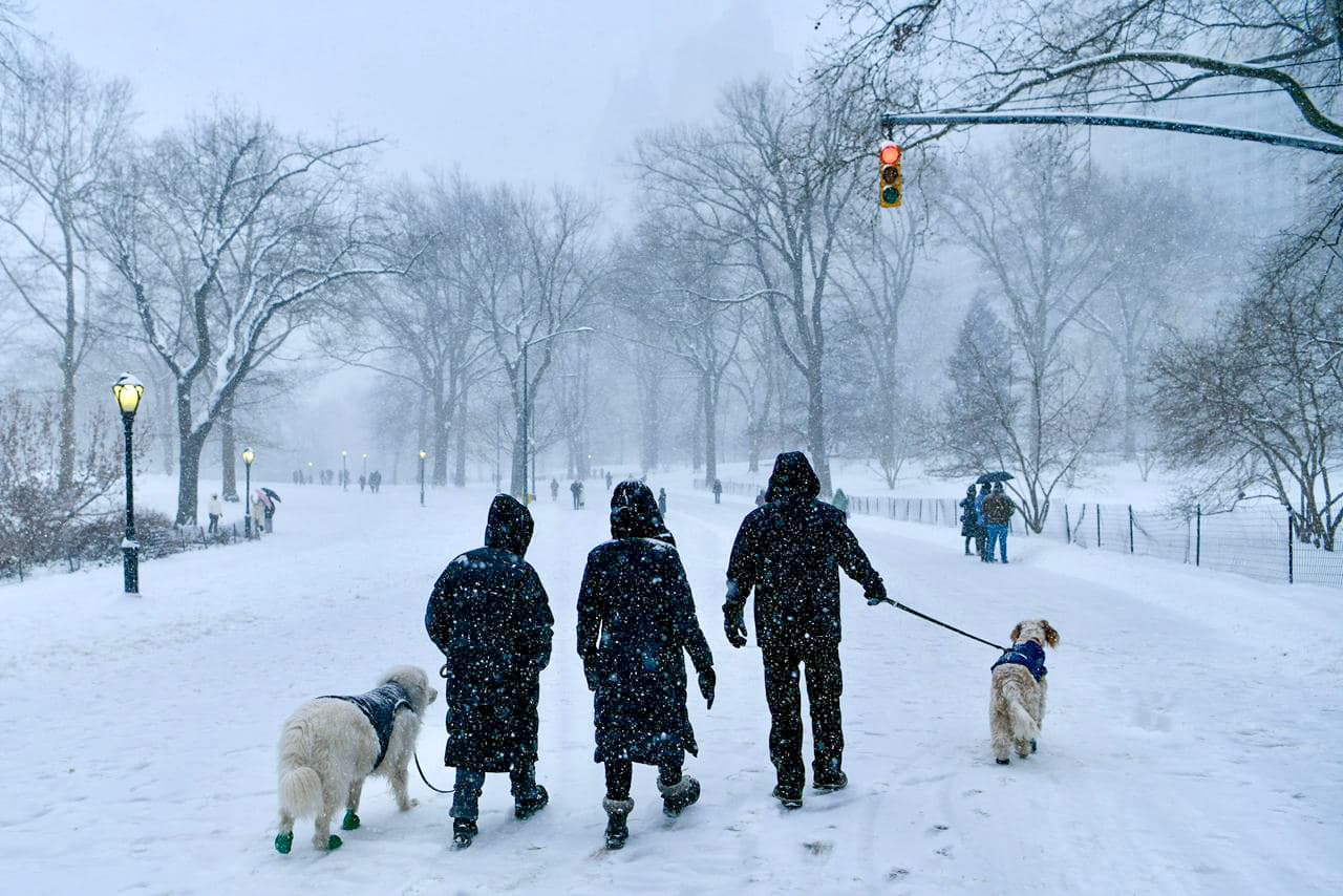 न्यूयोर्कसहित अमेरिकाको उत्तर–पूर्वी क्षेत्रमा हिमआँधी, आपतकाल घोषणा र जनजीवन प्रभावित
