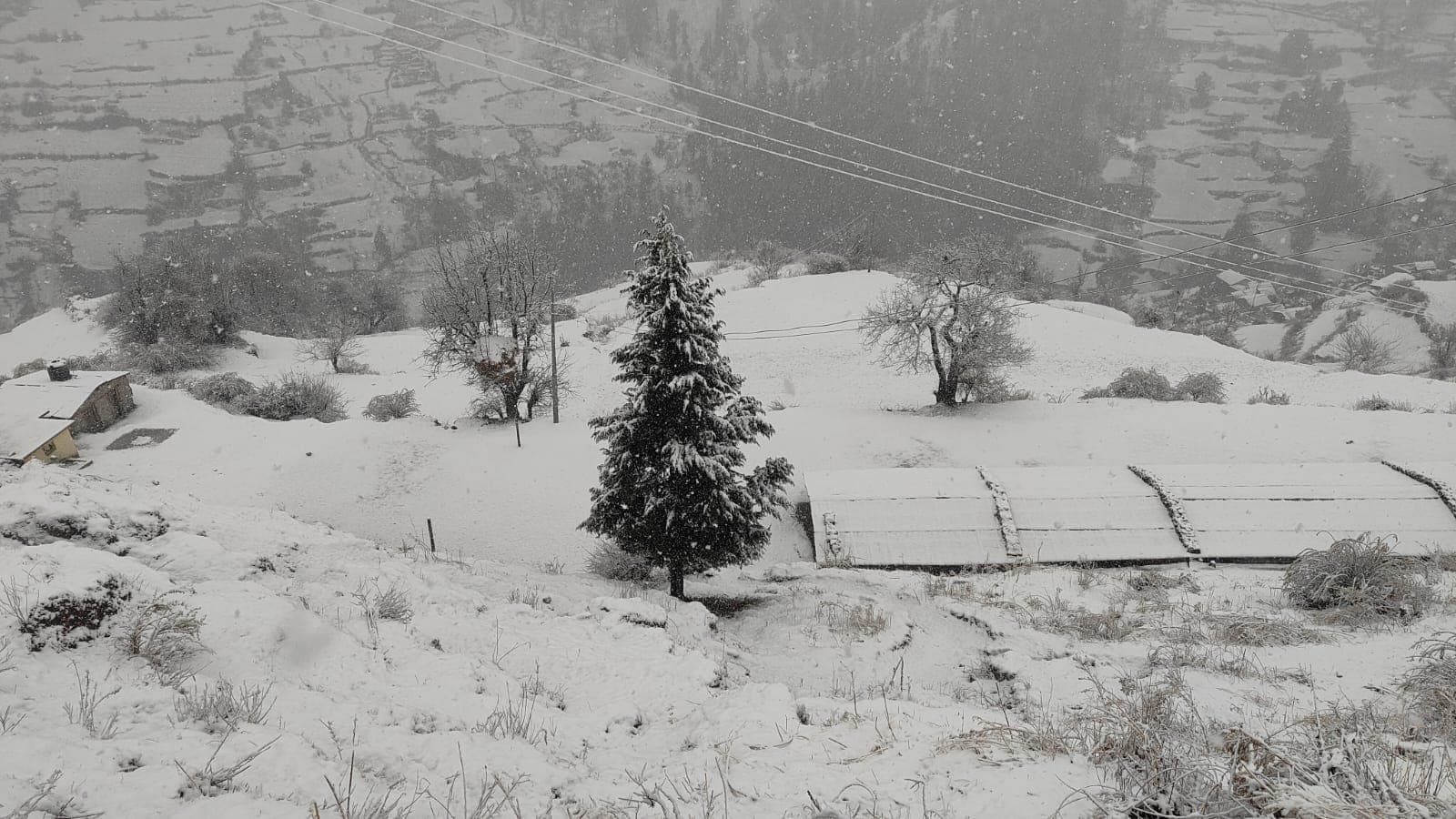 हिमपातले मगुमा सडक तथा हवाई सेवा बन्द