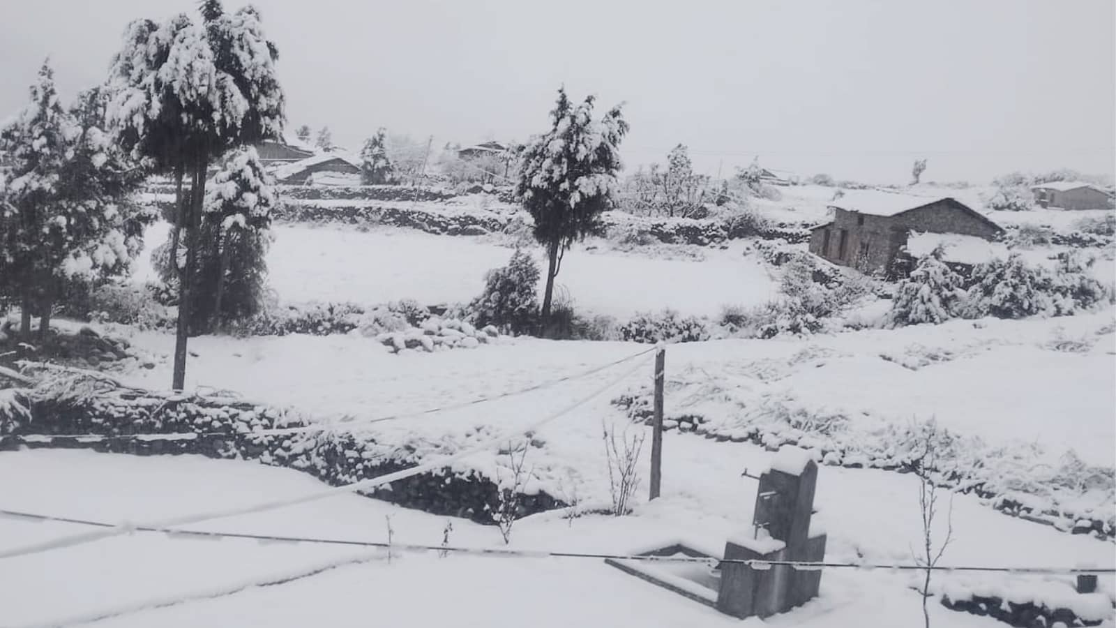 उच्च हिमाली क्षेत्रमा भारी हिमपात, उपत्यकामा बढ्यो चिसो
