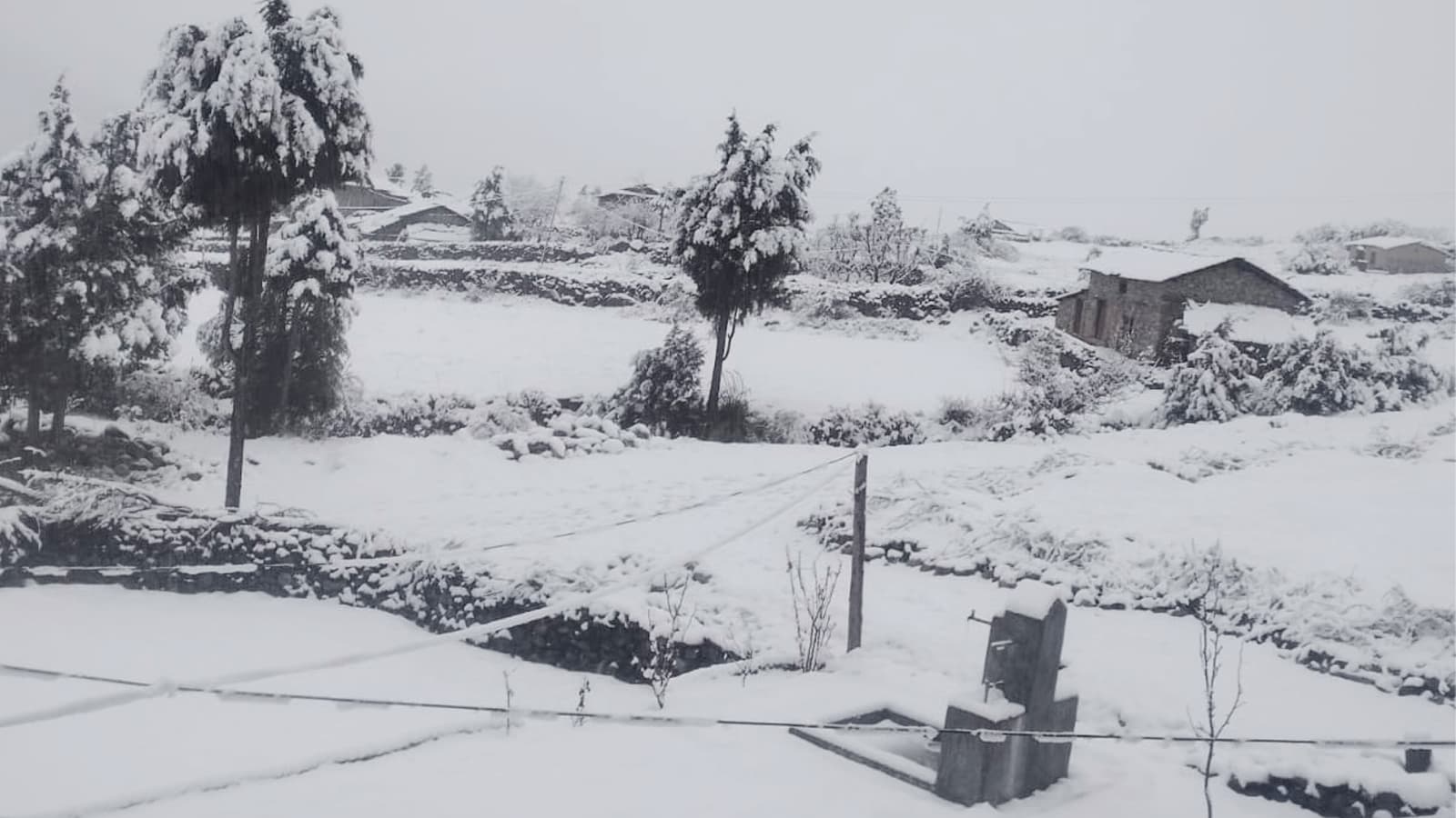 उच्च हिमाली क्षेत्रमा भारी हिमपात, उपत्यकामा बढ्यो चिसो