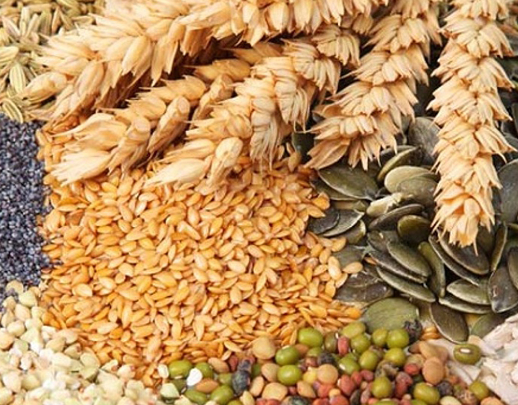 आज विश्व खाद्य दिवस मनाइँदै