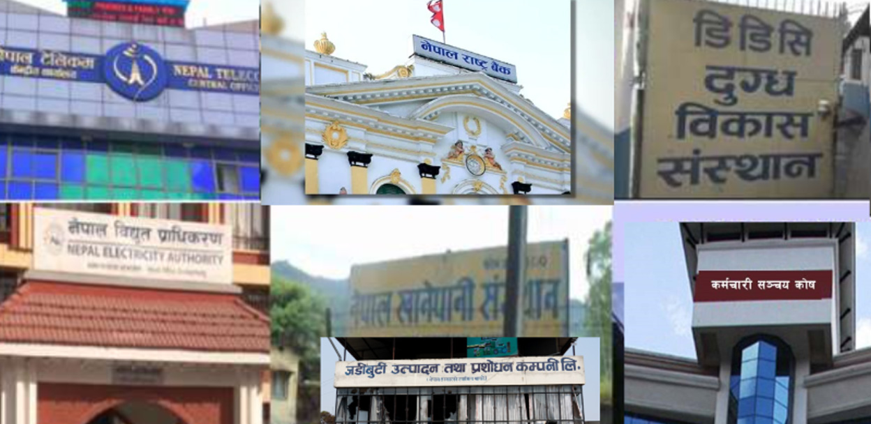 सावर्जनिक संस्थानका कर्मचारीहरुको एउटै बैठकको भत्ता ९ हजार रुपैयाँ सम्म