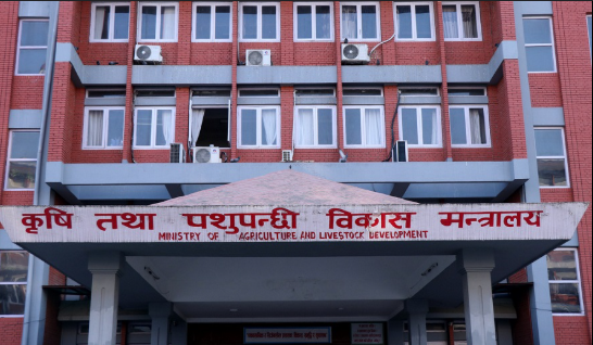 मासु निर्यात अभिवृद्धिका लागि राँगा–भैंसी प्रवद्र्धन कार्यविधि २०८२ तयार